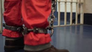 Мере задржавања — хапшење и процесна принуда